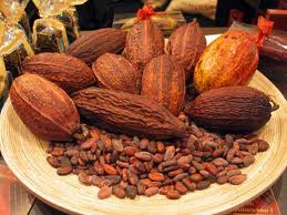 Giá cacao